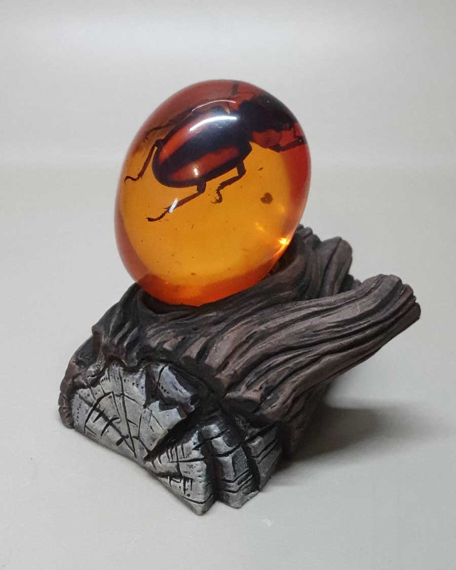 Amber_Egg_Stag_Beetle_01_web